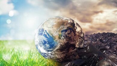 Environmental Remediation